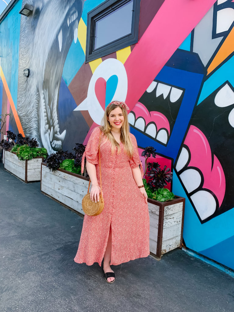 Abbot Kinney Mural - Best Photography Locations in Los angeles